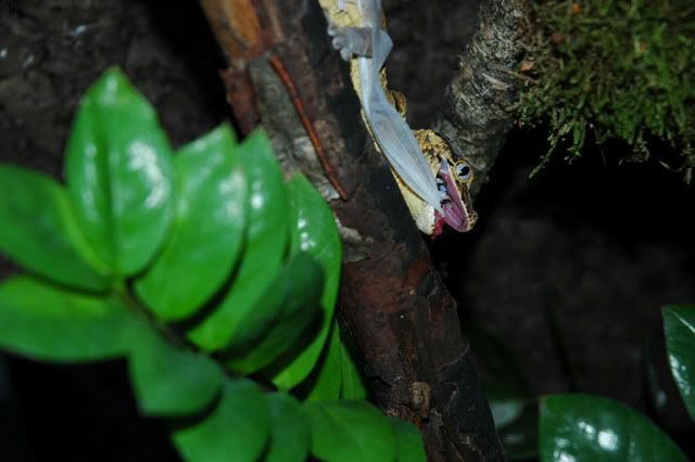 sDSC_0110.jpg