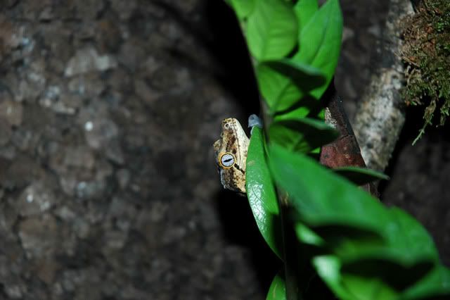 sDSC_0112.jpg