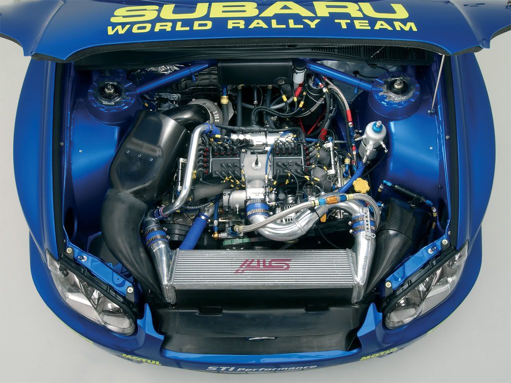 WRC05bay.jpg