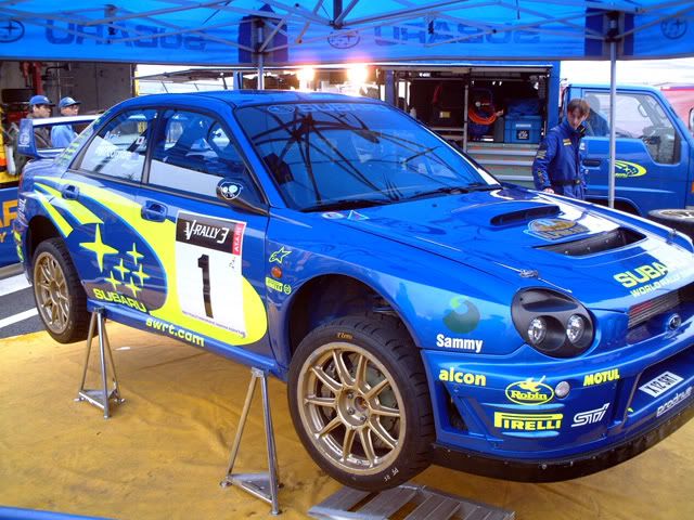 WRC5.jpg