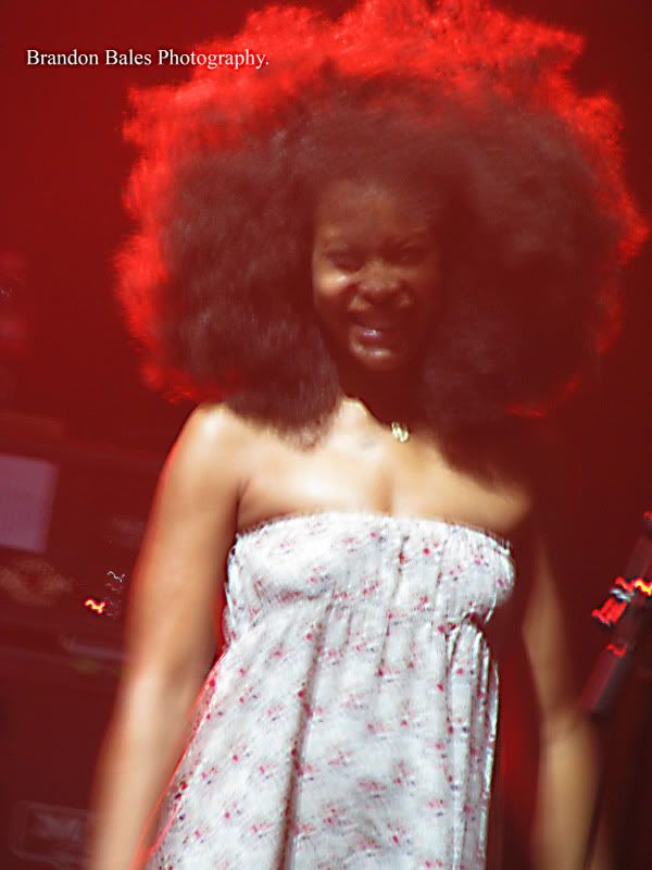 IMAGE: http://i82.photobucket.com/albums/j262/brandon1690/IMG_5016wm.jpg