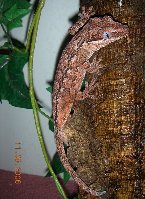 DSCN1549.jpg