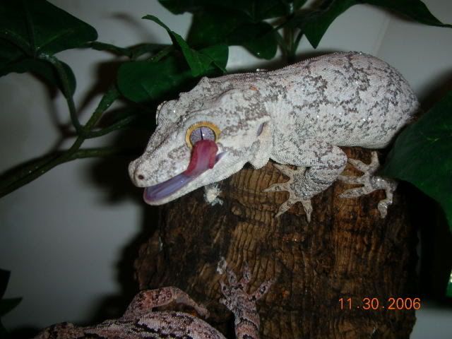 DSCN1582.jpg