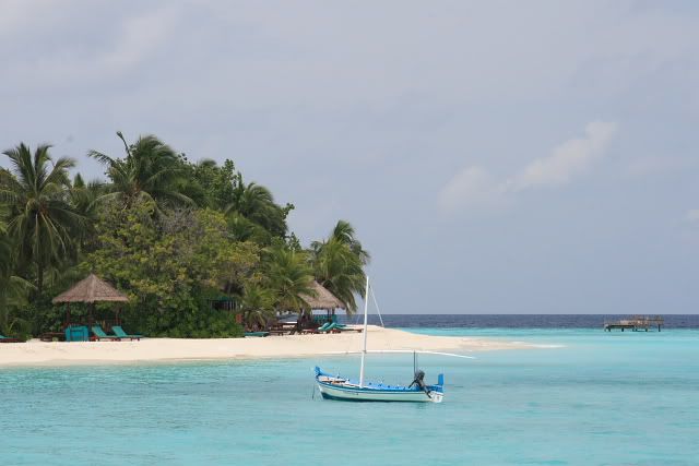 DPP_0557.jpg