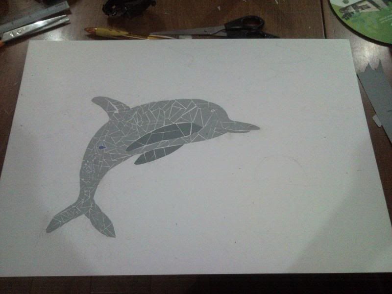 completed dolphin
