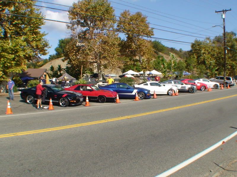 DSC01223.jpg