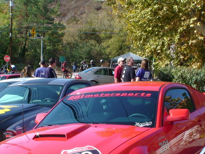 DSC01231.jpg