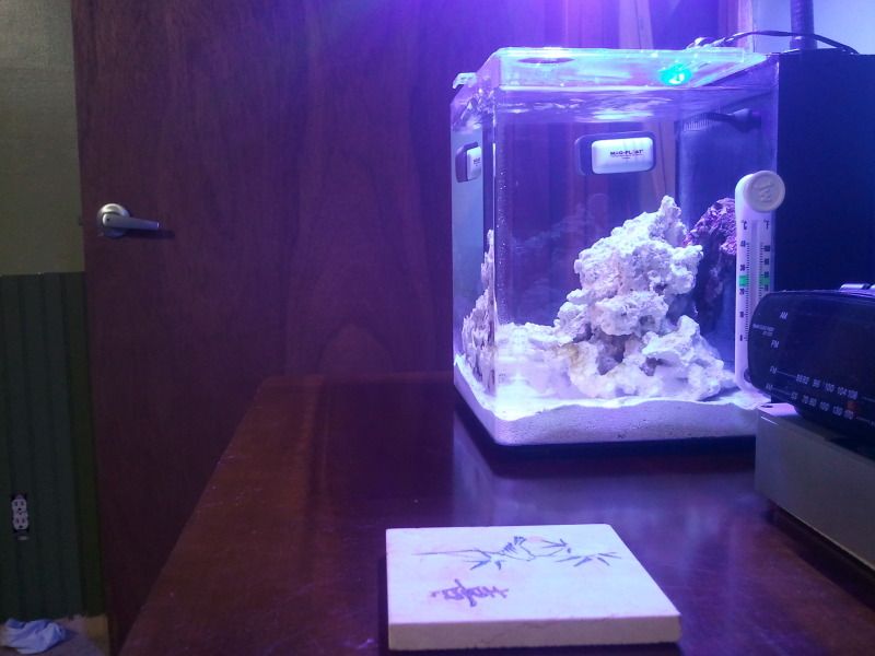 Cr S Nightstand Pico 3reef Aquarium Forums