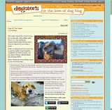 Flash-DogBlog.jpg Flash's DogBlog image by PusherCG_Filly
