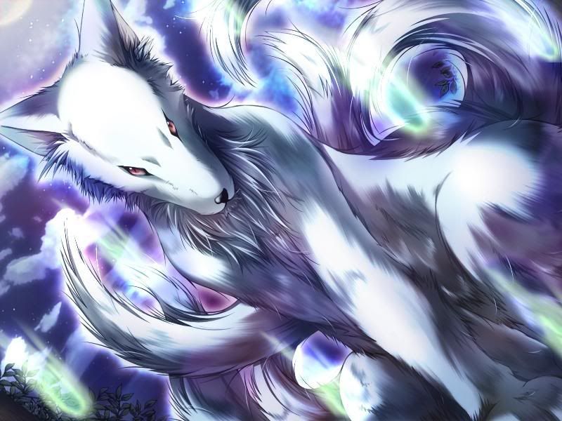 dream *.*