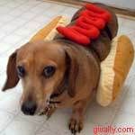 hotdog5oh1.jpg