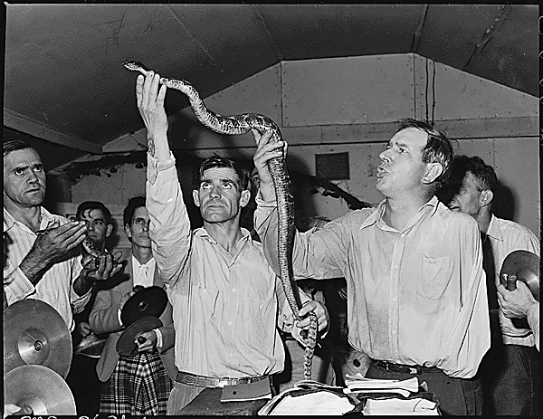 В США пастор христианской секты змееносцев умер от змеиного укуса 07-16-2905a
