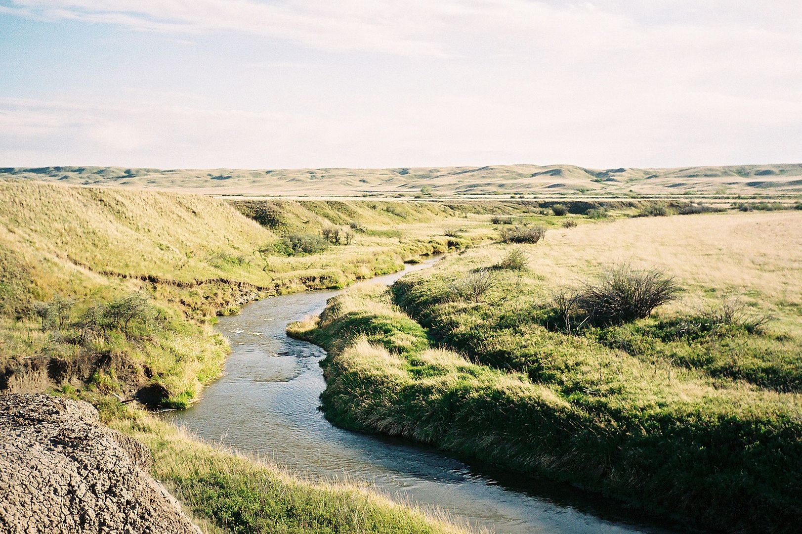 Return of the Sagebrush Rebellion