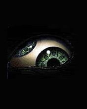 tool band eye