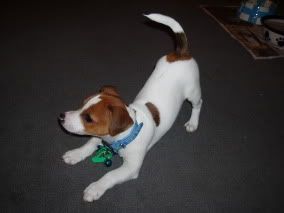 Image hosting by Photobucket