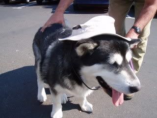 Photobucket - Video and Image Hosting