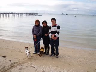 Photo Sharing and Video Hosting at Photobucket