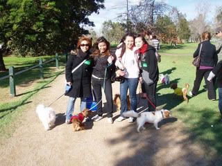 Photo Sharing and Video Hosting at Photobucket