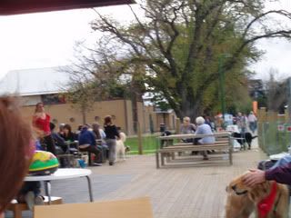 Photo Sharing and Video Hosting at Photobucket