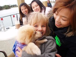 Photo Sharing and Video Hosting at Photobucket