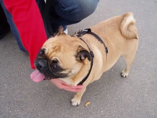 Photo Sharing and Video Hosting at Photobucket