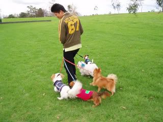 Photo Sharing and Video Hosting at Photobucket