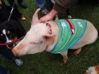 Photo Sharing and Video Hosting at Photobucket