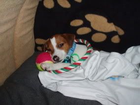 Image hosting by Photobucket