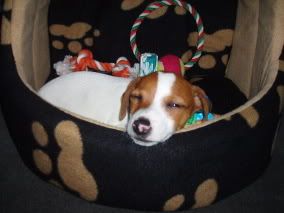 Image hosting by Photobucket