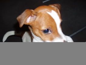 Image hosting by Photobucket