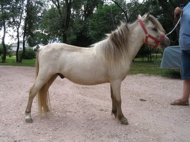 IMAGE(http://i82.photobucket.com/albums/j274/Sherinco42/zeus/zeus023.jpg)