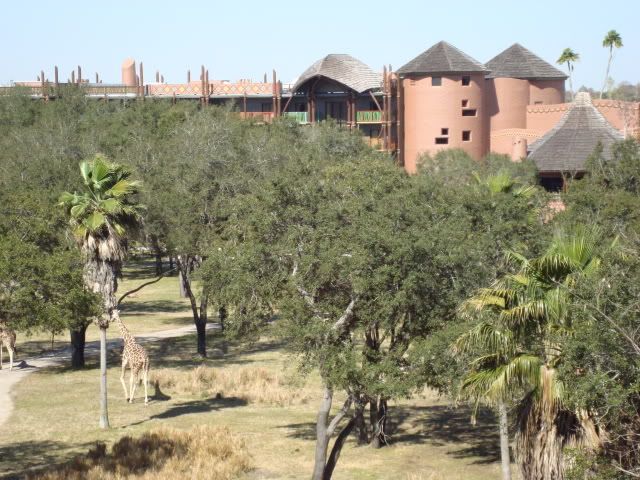 http://i82.photobucket.com/albums/j274/dne42503/DCL_WDW_0210/DSC02465.jpg