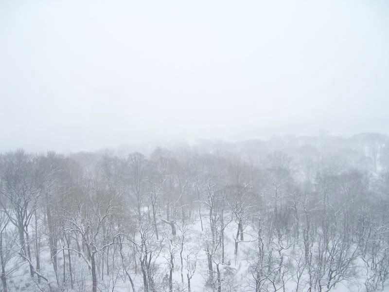 Snow-022208-2.jpg