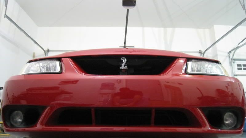 6292008001.jpg