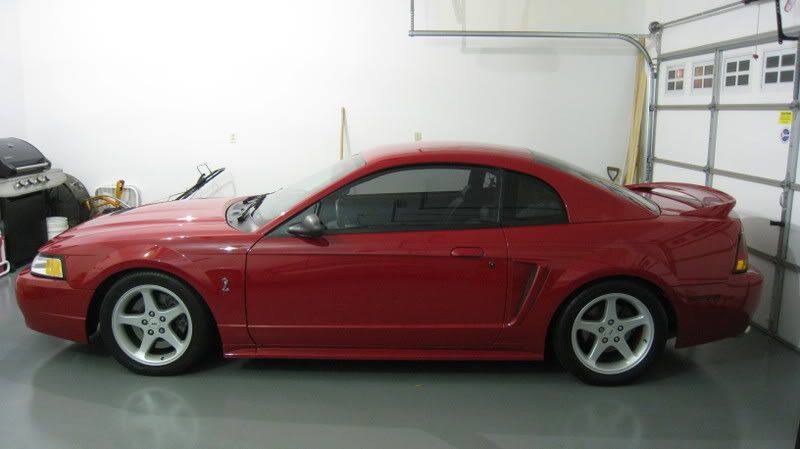 6292008004.jpg