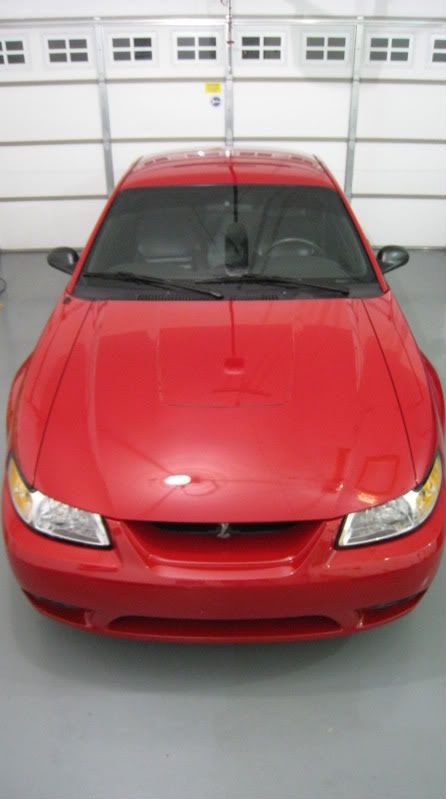 6292008007.jpg