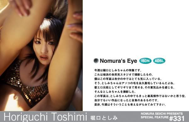 horiguchi_toshimi_top2.jpg