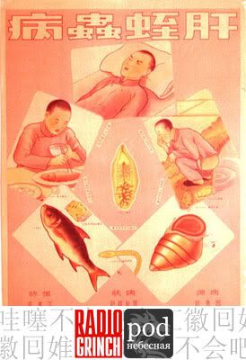 Обложка подкаста PODнебесная 2 - выпуск о китайской еде