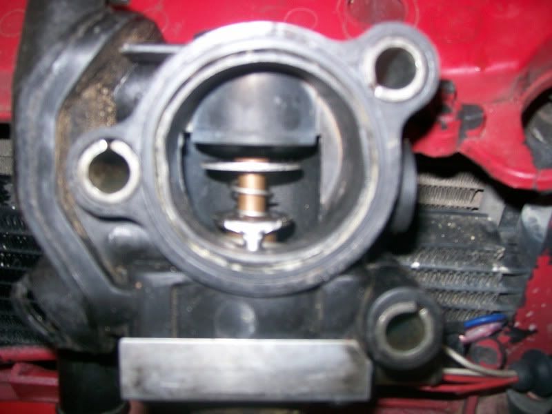Water pump stuck?? Focus Fanatics Forum