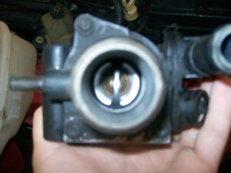 Water pump stuck?? Focus Fanatics Forum