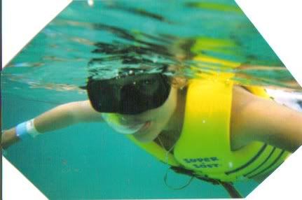 snorkling Pictures, Images and Photos