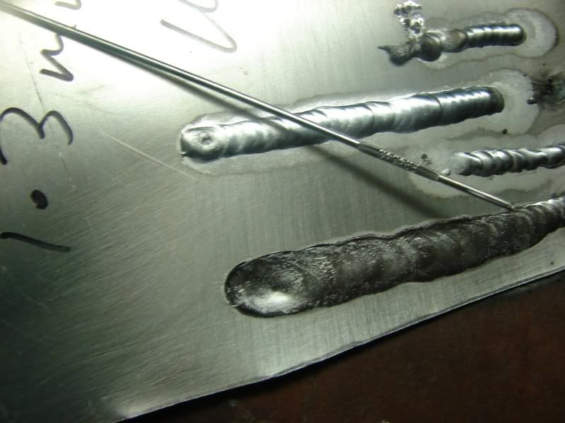 tig2.jpg