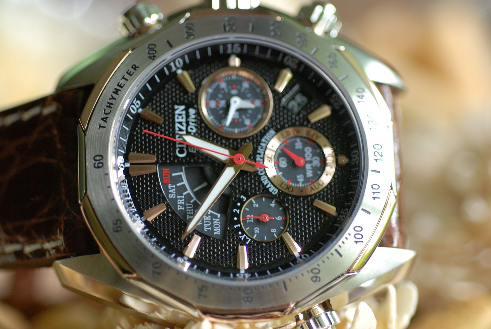 citizen signature grand complication