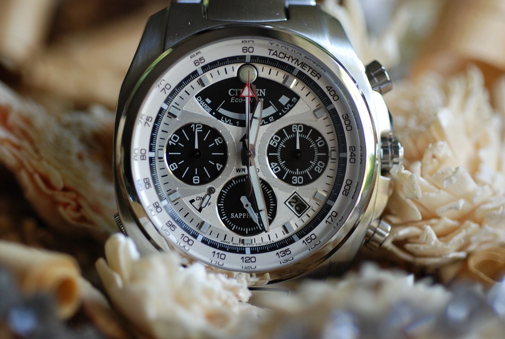 citizen automatic white dial
