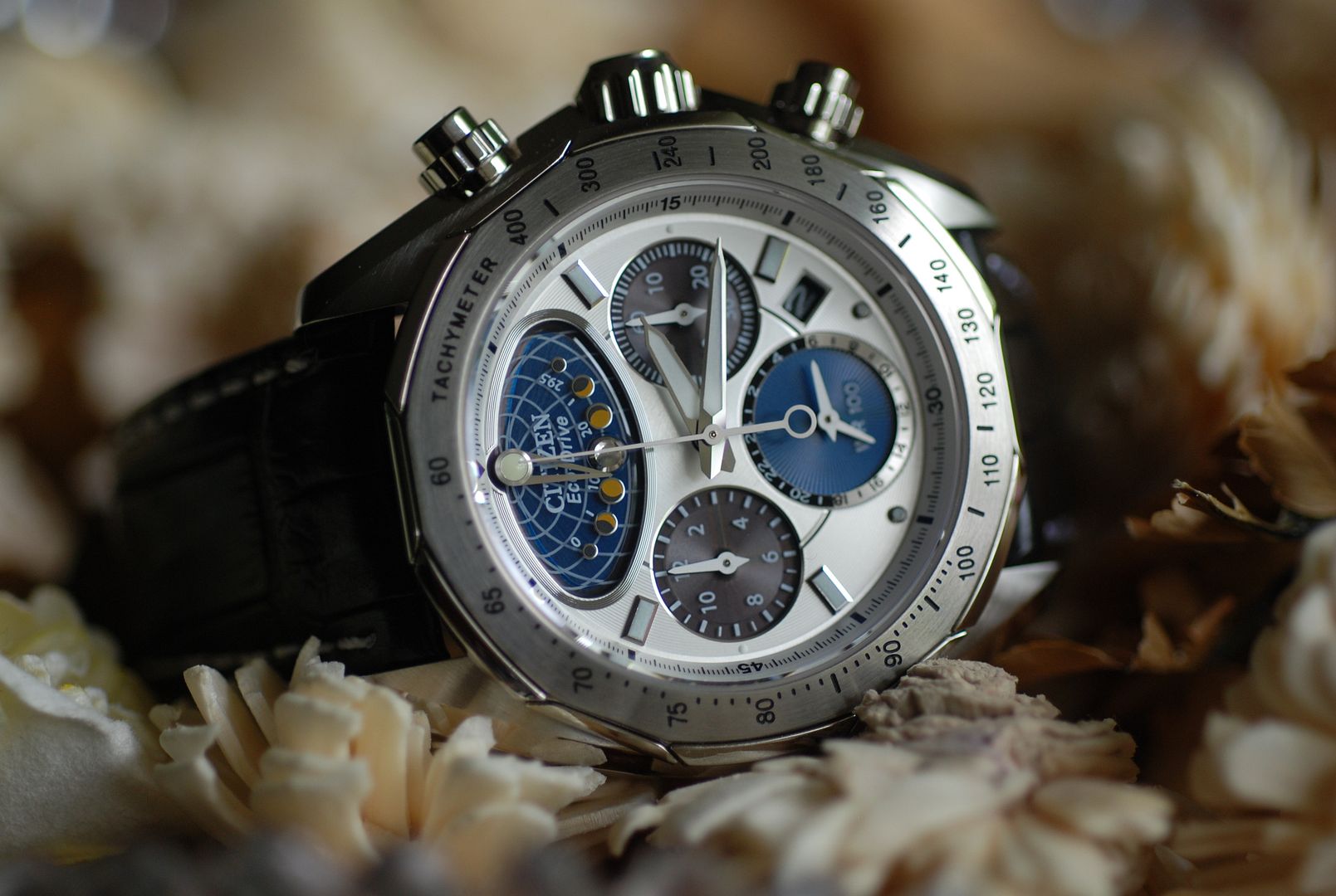 citizen moon phase flyback