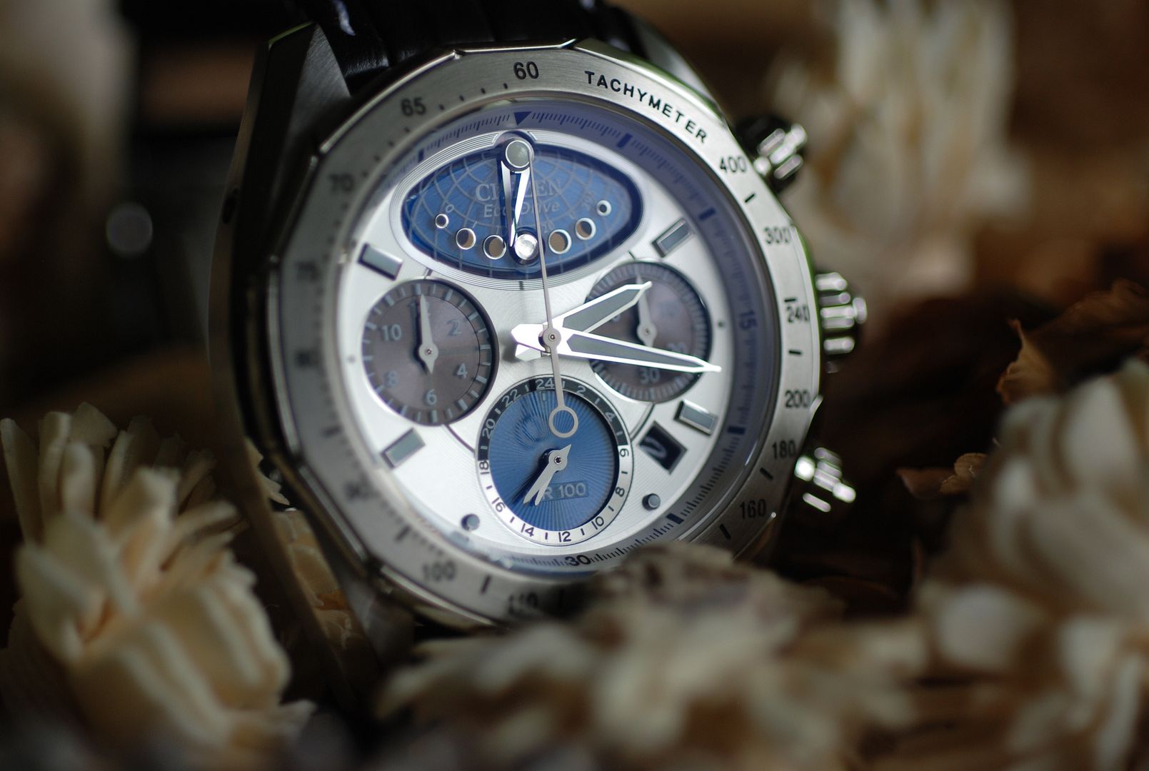 citizen signature moon phase