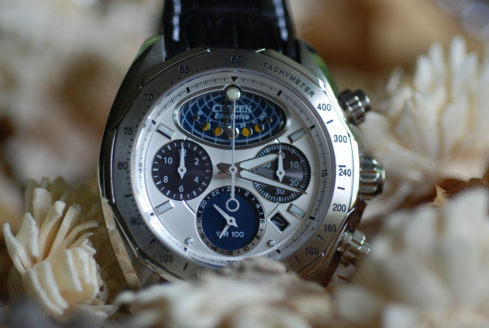 citizen moon phase flyback