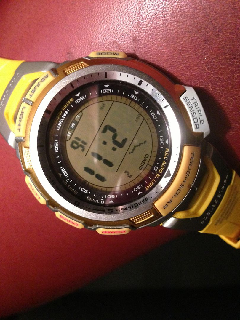 casio pro trek prg 110