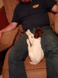 HELP with goatie baby - Goats