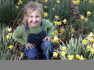 Spring - Homesteading Questions